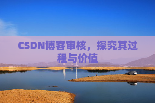 CSDN博客审核，探究其过程与价值